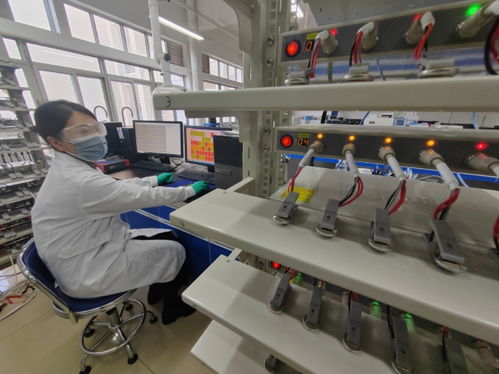 中國首創！洛陽牡丹殼變廢為寶，開啟鈉電池負極材料新紀元